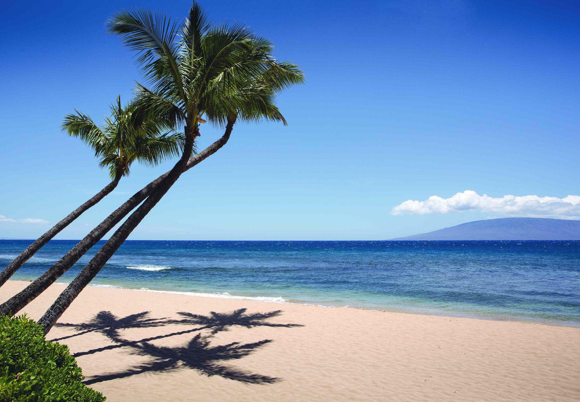 Готель Marriott'S Maui Ocean Club - Molokai, Maui & Lanai Towers Лагайна Екстер'єр фото