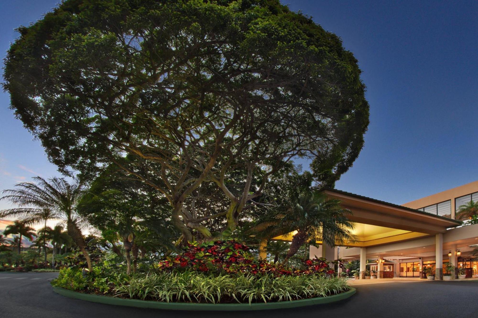 Готель Marriott'S Maui Ocean Club - Molokai, Maui & Lanai Towers Лагайна Екстер'єр фото