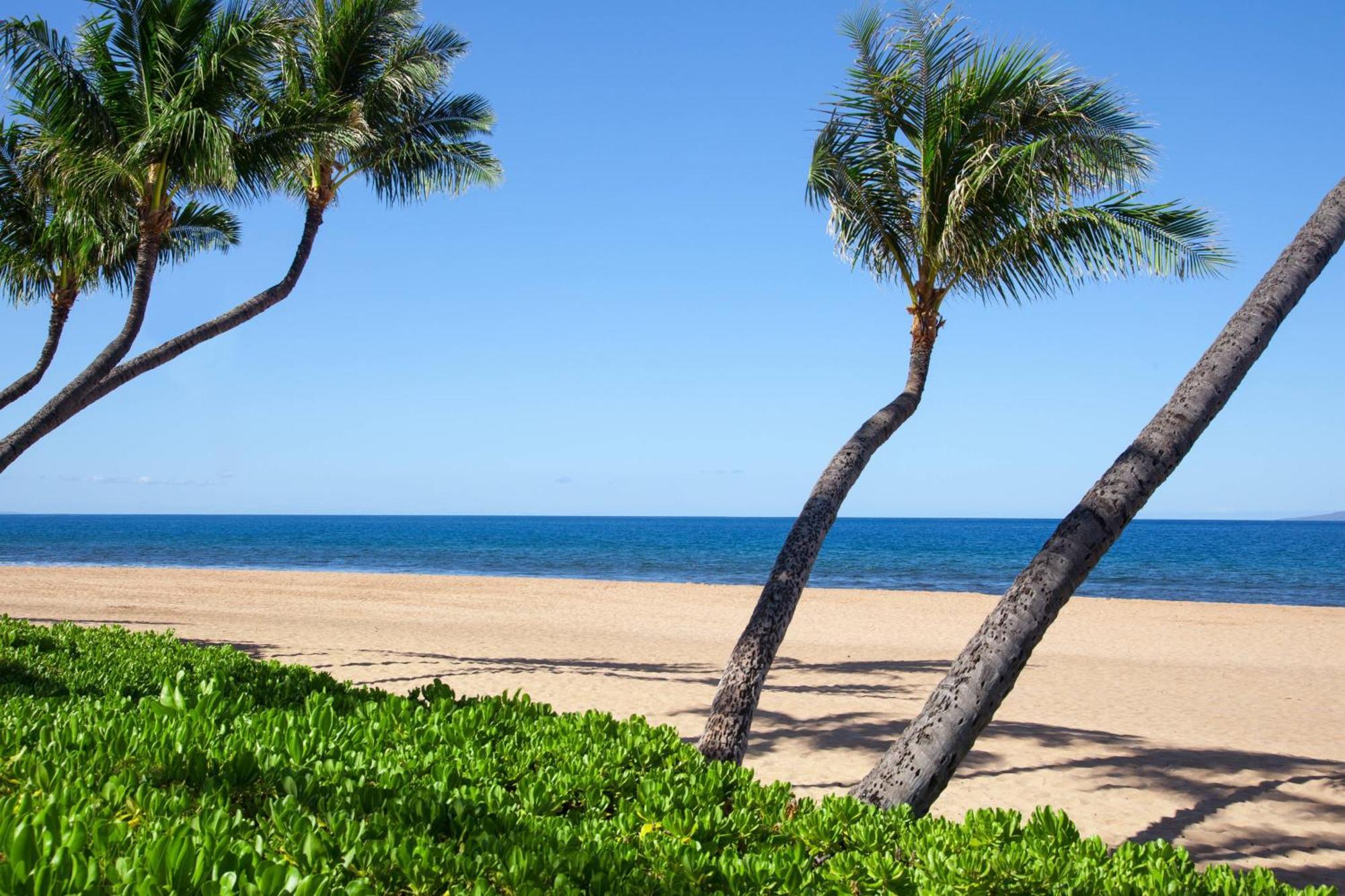 Готель Marriott'S Maui Ocean Club - Molokai, Maui & Lanai Towers Лагайна Екстер'єр фото